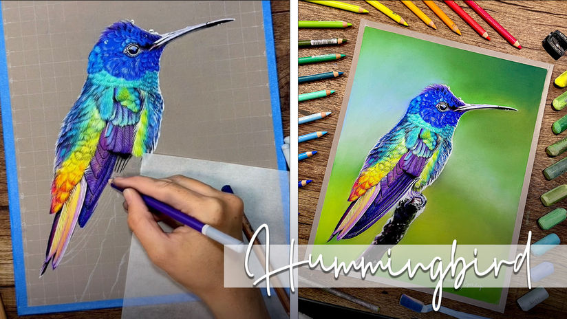 Hummingbird Tutorial